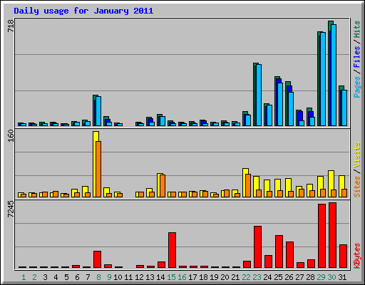 Daily usage for January 2011
